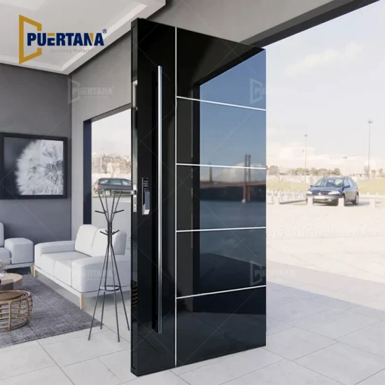 Porte d'entrée extérieure principale extérieure en aluminium moulé en aluminium noir en acier inoxydable de luxe